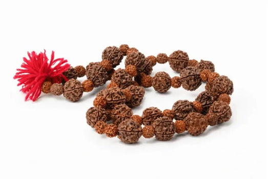 Rudraksha Beads: Sacred Seeds of Peace and Protection - Serenity Factory