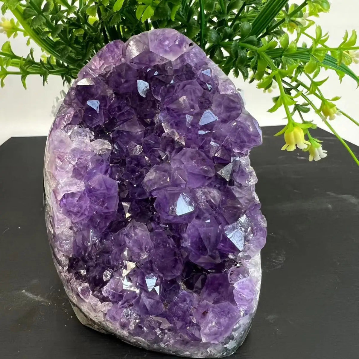 Amethyst Geode Cluster - Serenity Factory