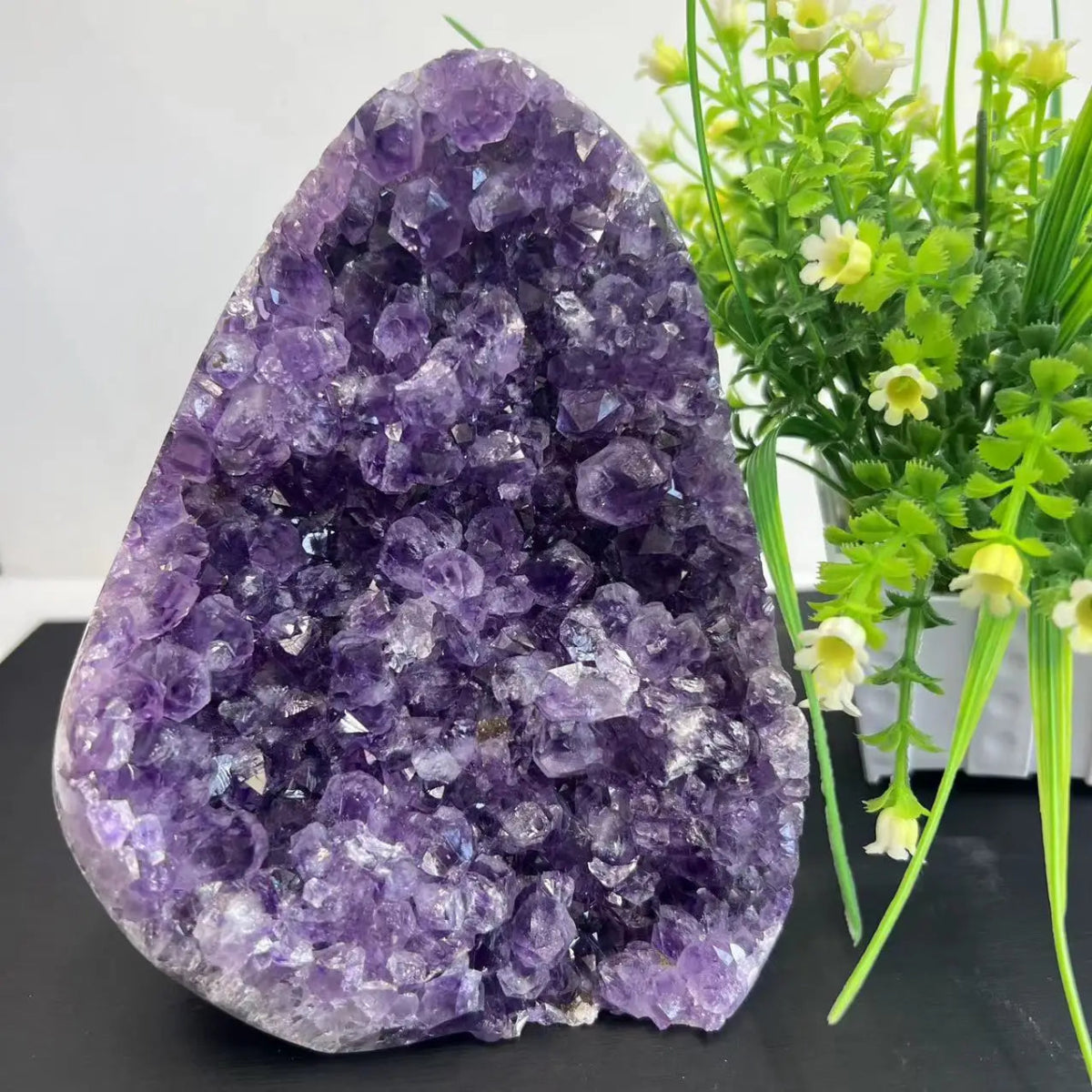 Amethyst Geode Cluster - Serenity Factory